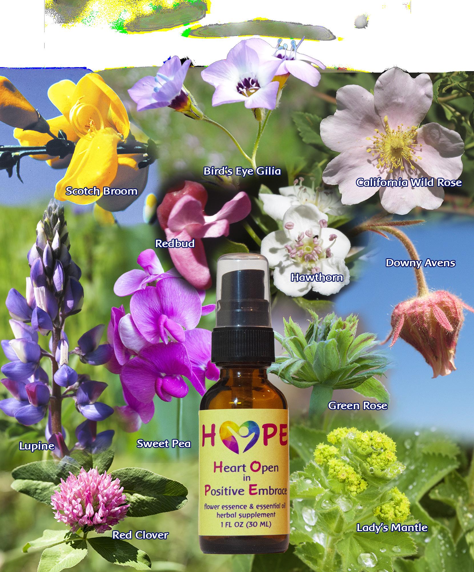 HOPE flower essence formula by Flower Essence Services Issuu