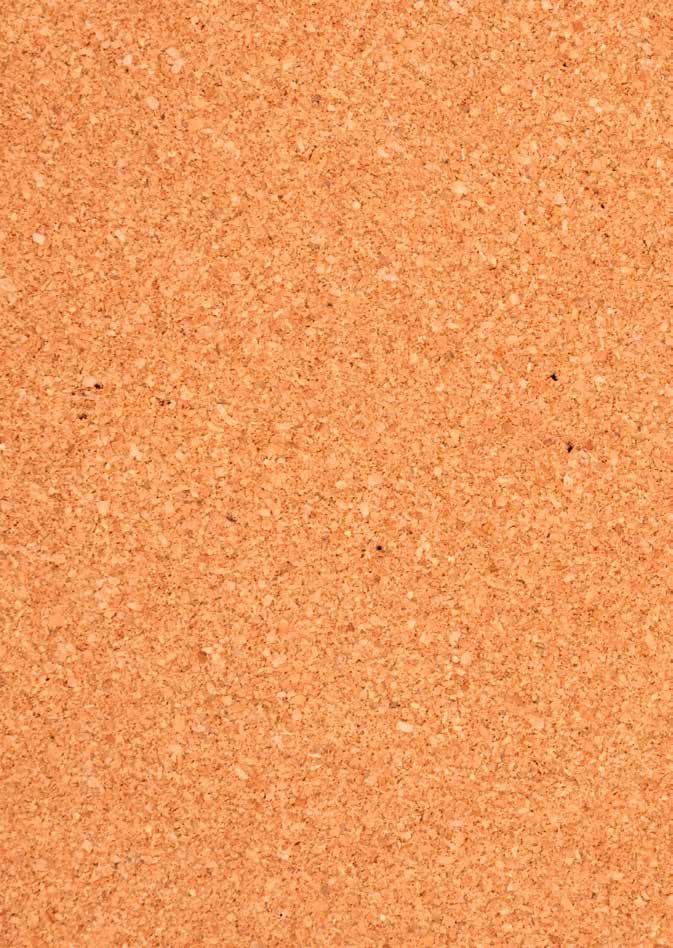 Cover for Noticeboard