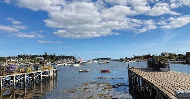 How Ironic L.L.Bean Boat and Totes Took Over Summer 2023