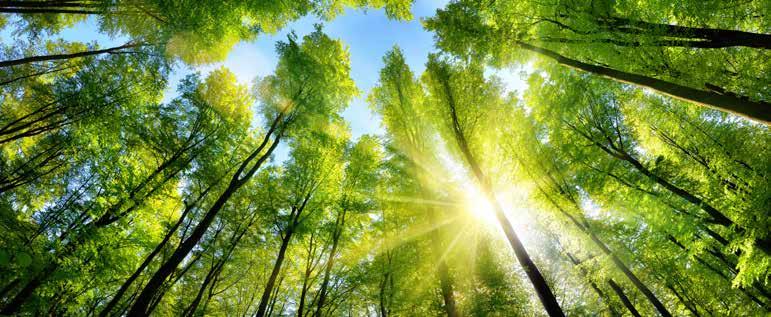 Cover for Weniger Papier, mehr Nähe 