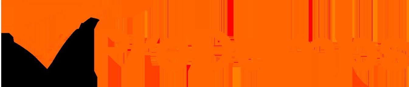 ANS-C01受験体験