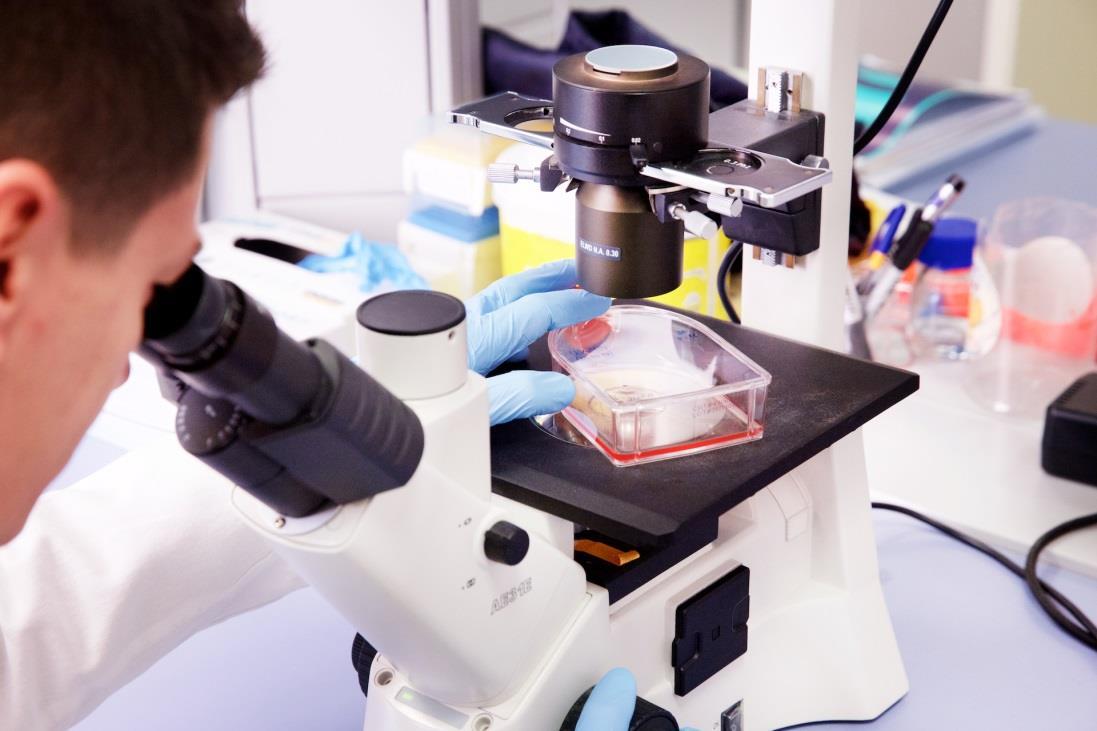 Istituto Pasteur Italia Report 2021 by istitutopasteuritalia Issuu