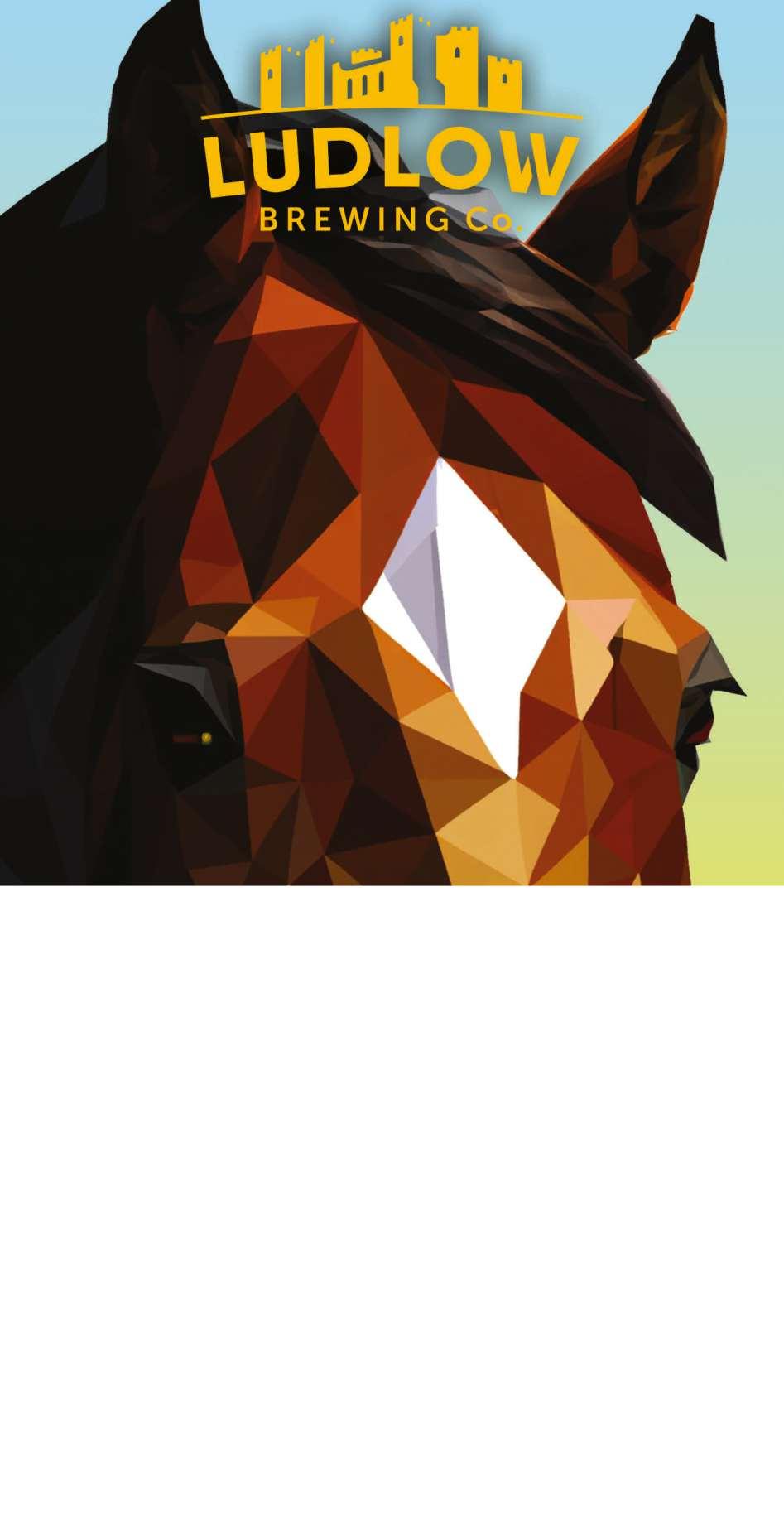 Ludlow Racecard Wednesday 30th November by Weatherbys Issuu