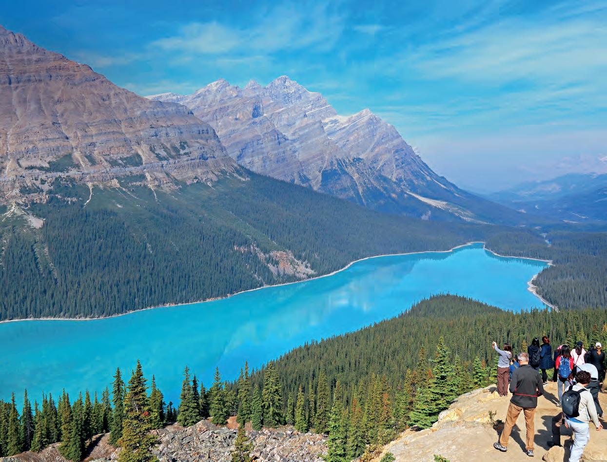 Southern Alberta Adventures: Discovering the Birds of Prey Centre -  Time.Travel.Trek.