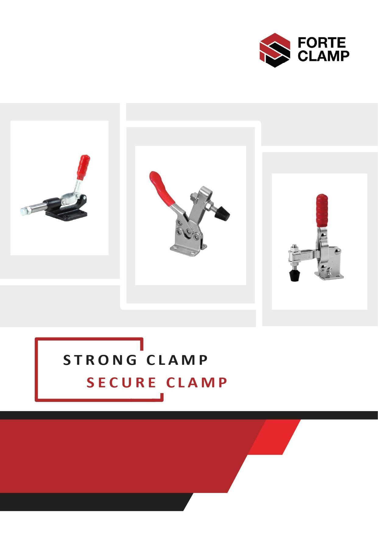 Forte Clamp Catalog by Fludisa Issuu