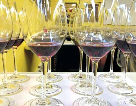 Cover for Exploring VA Wines