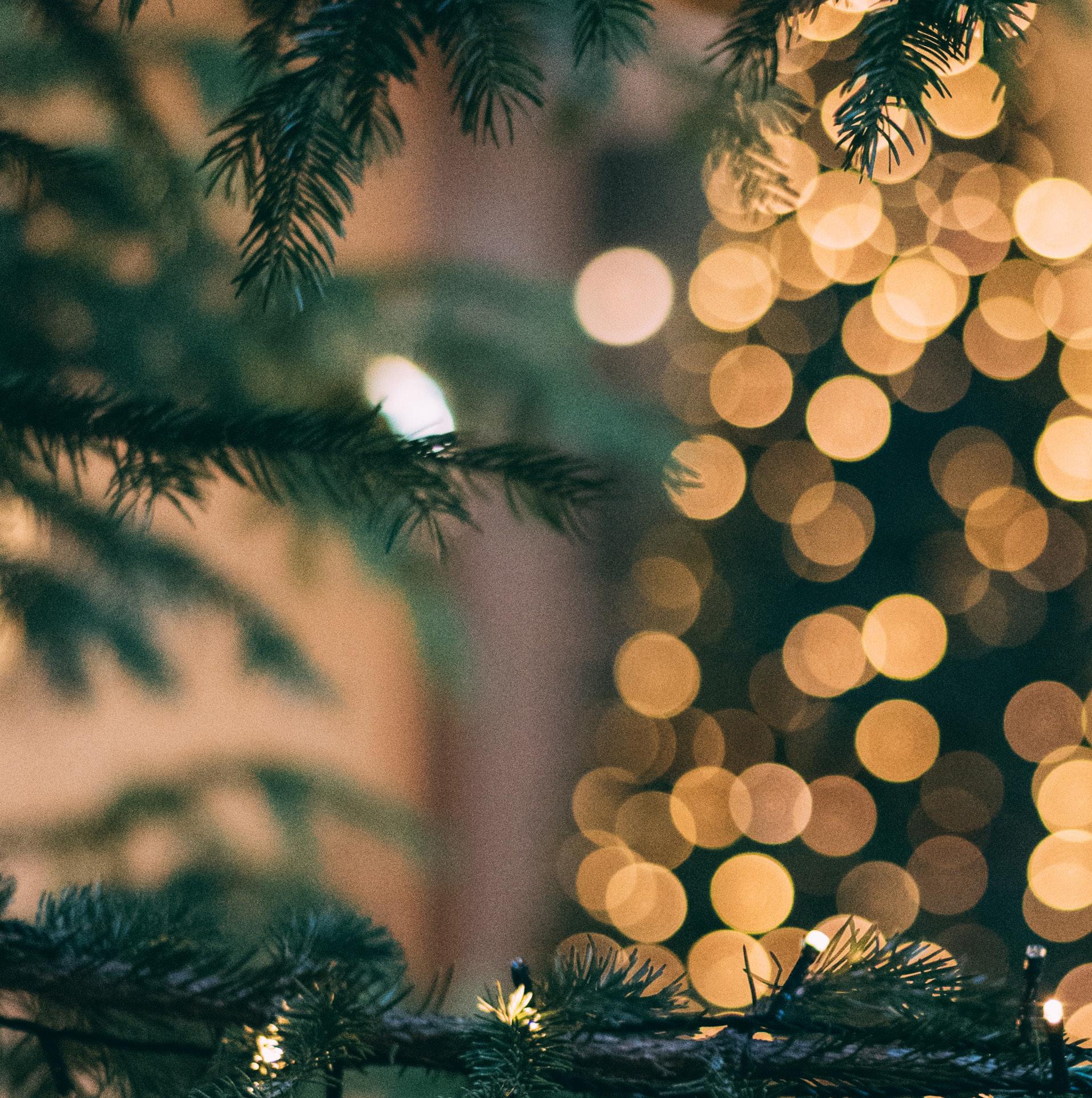 Hillgrove Avenue Magazine, Volume 2, Issue 4 by hillgroveavenuemagazine