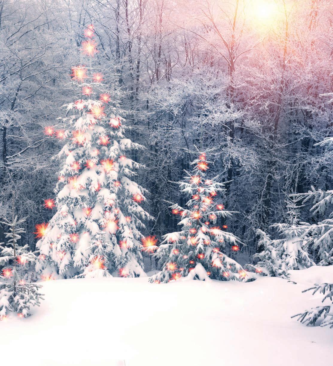 Hillgrove Avenue Magazine, Volume 2, Issue 4 by hillgroveavenuemagazine