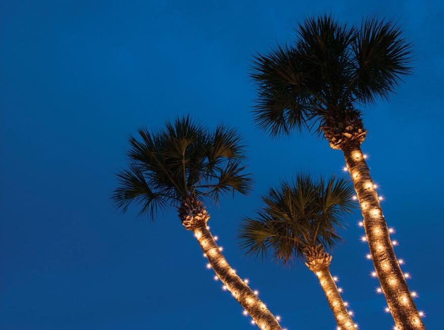 Hillgrove Avenue Magazine, Volume 2, Issue 4 by hillgroveavenuemagazine