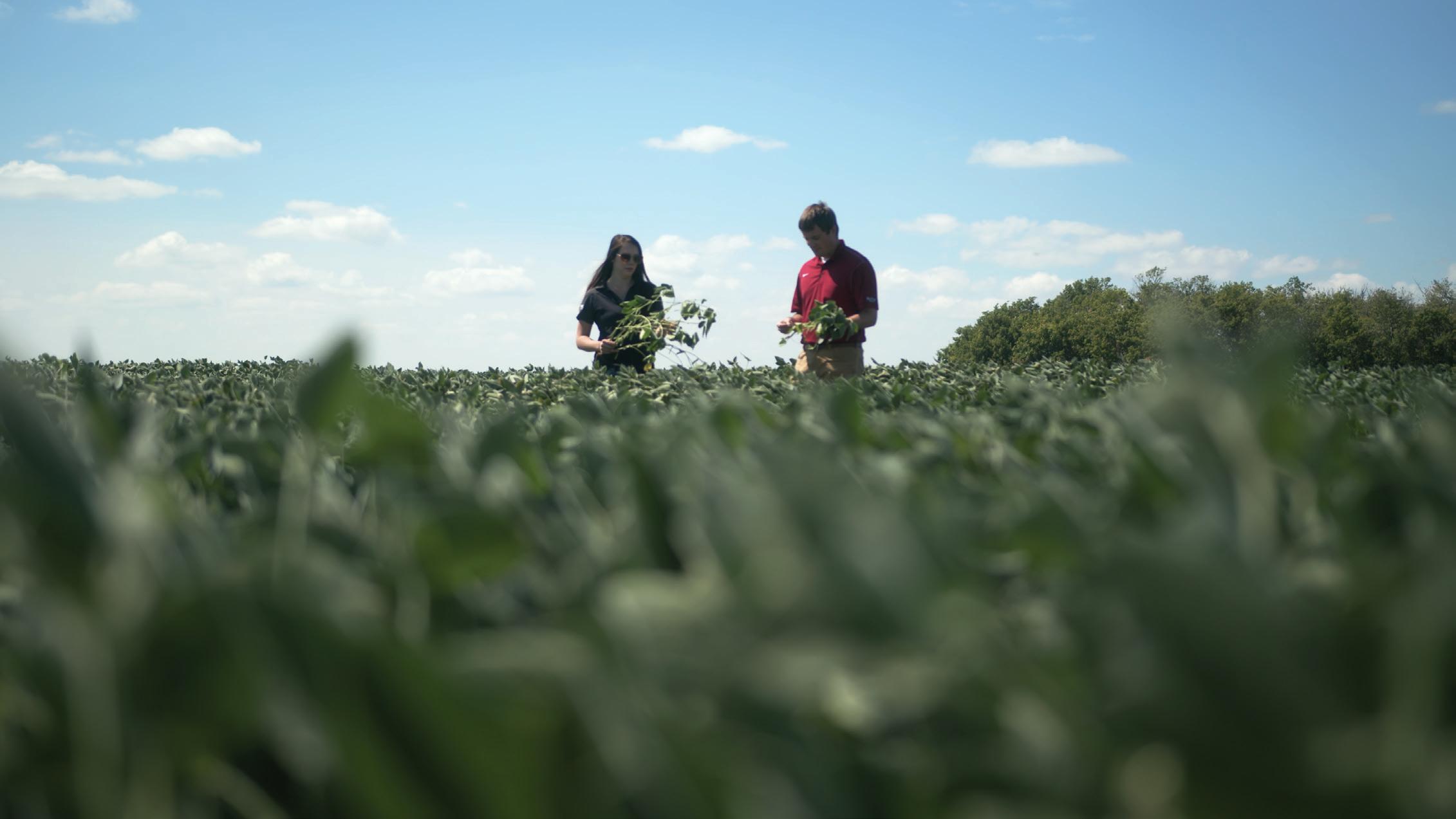 To Save Family Farms from Corporate Buyout, Retiring Farmers Connect with a  New Generation - YES! Magazine Solutions Journalism