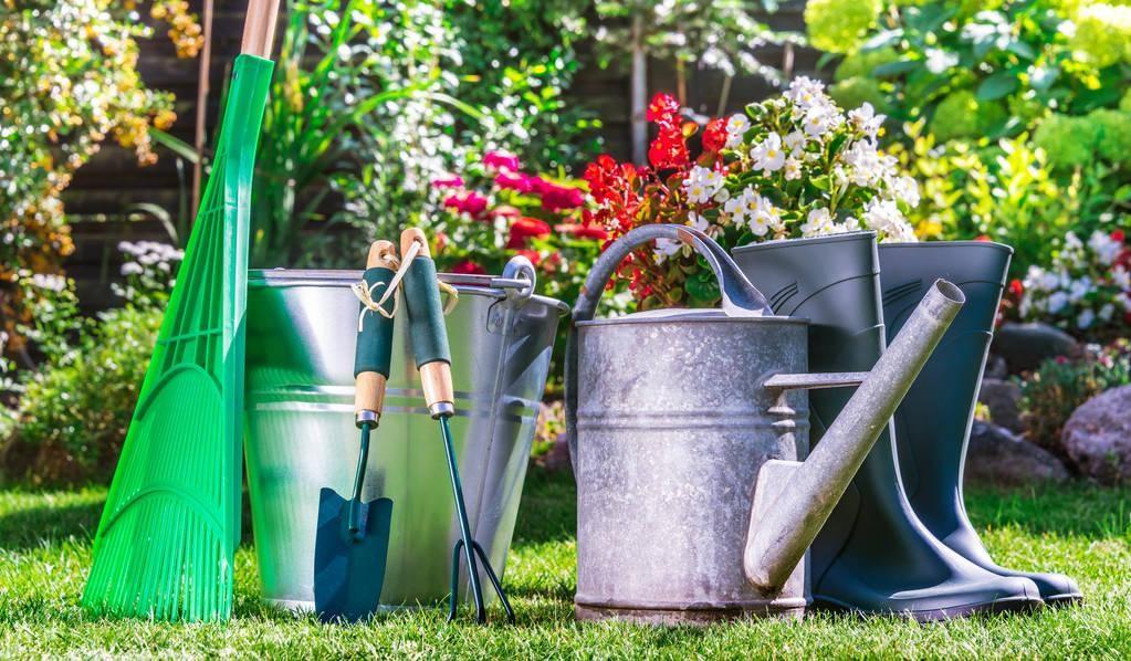 Best Lawn Care Tools List 10 Essential Lawn Tools by Laurie