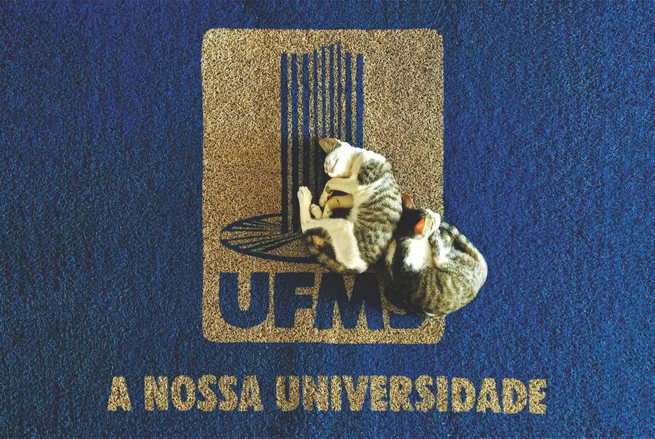 Calendário 2023 UFMS Além dos Olhos by UFMS Issuu