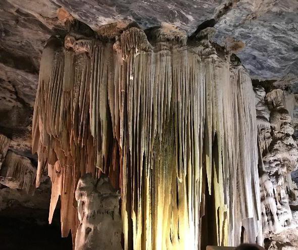 Vovô de 103 anos comemora formatura de netos pulando de paraquedas