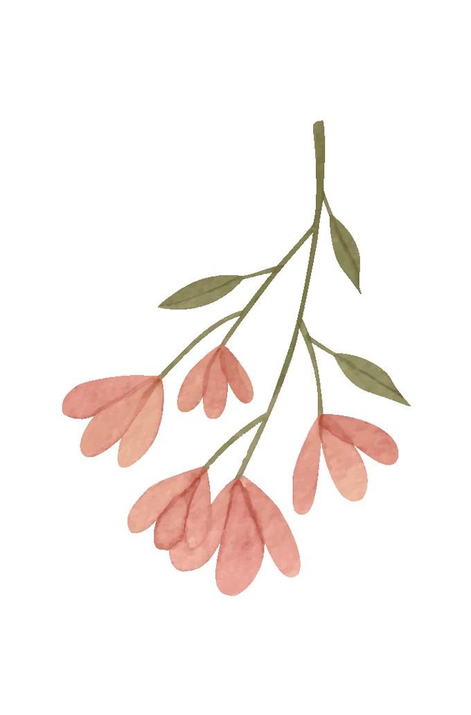 Waxing & Sugaring Forest Hill Village by Upper Villagespa Issuu