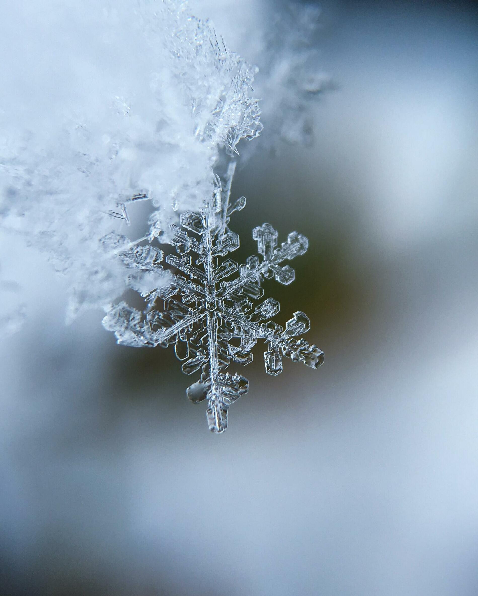 OLLI at Tufts Winter 2023 Catalog by Tufts University College Issuu