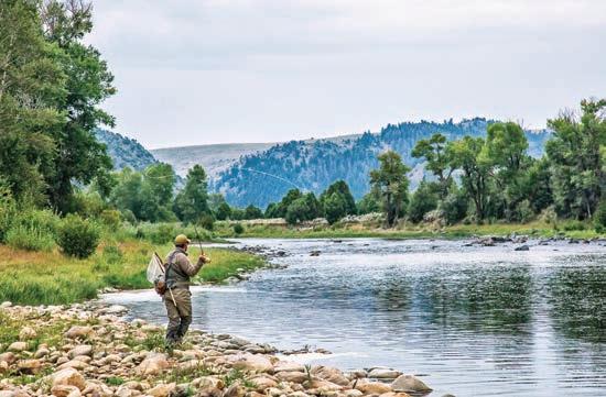 Orvis Fly Fishing