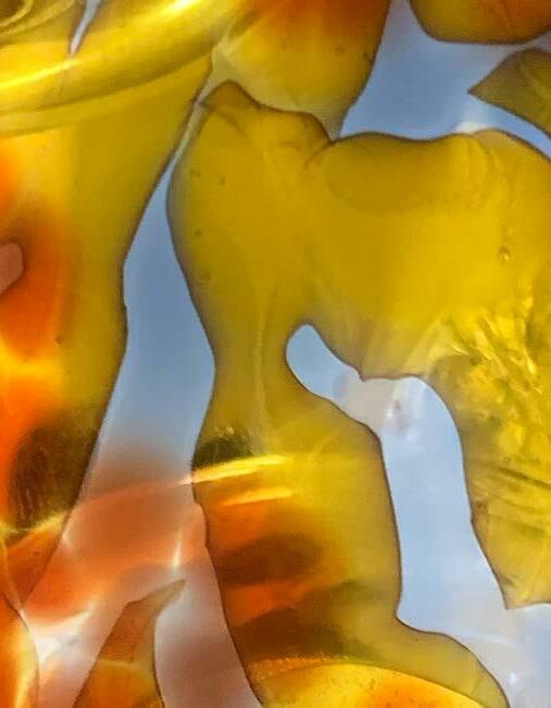 Cover for I can never sleep through anything anymore - by Veronica Habashy