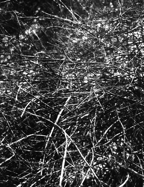 Cover for Three Times to Face the Sky - by Zoe Coyle