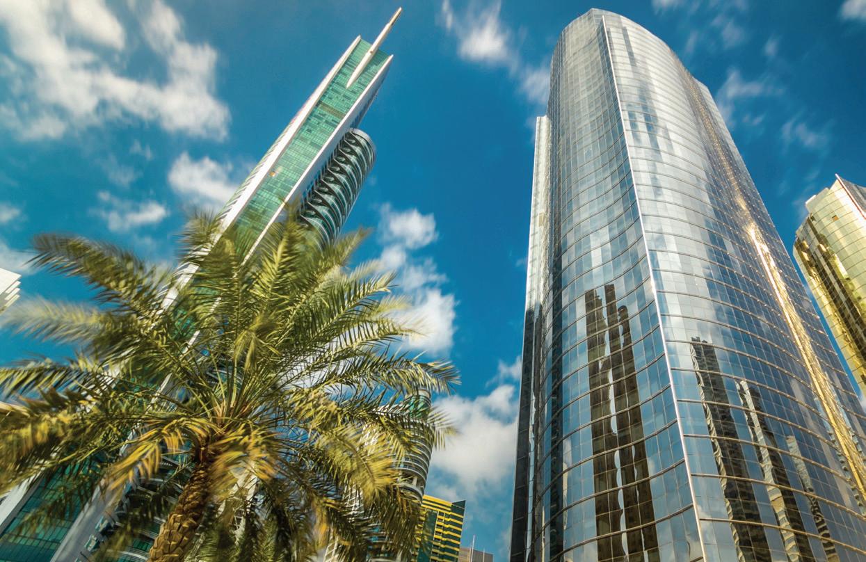 Cover for Make it in the Emirates