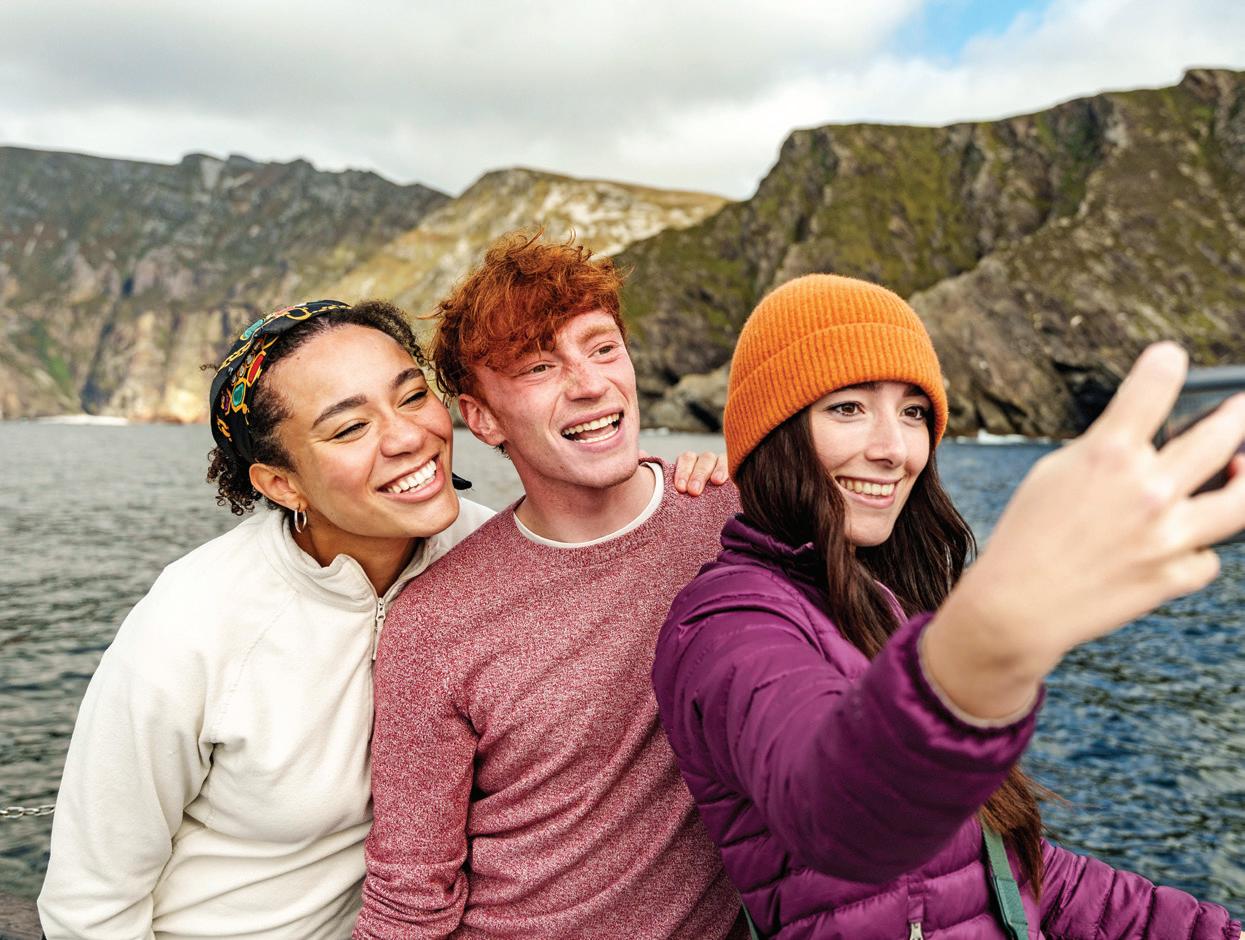 Cover for A Luminous Beauty