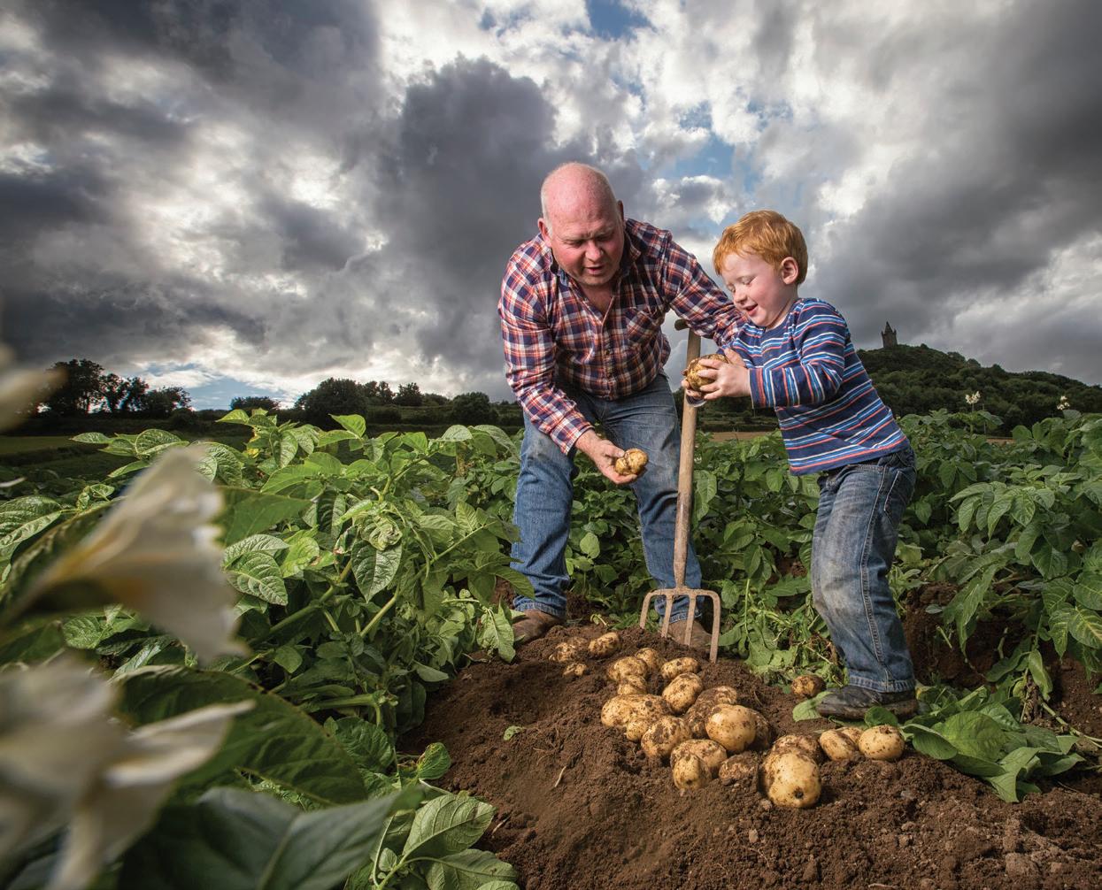 Cover for Food for Thought