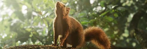 Cover for Die Eiche - Mein Zuhause ............................................................................. S