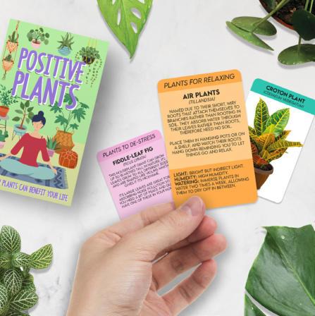 Zombie Plant Seed Packets (2) Grow Your Real Live Zombie Plant. Watch itPlay Dead When Touched! Supplies for Zombie Themed Birthday. Plant Zombie Seeds as an Activity. Great Stocking Stuffer!
