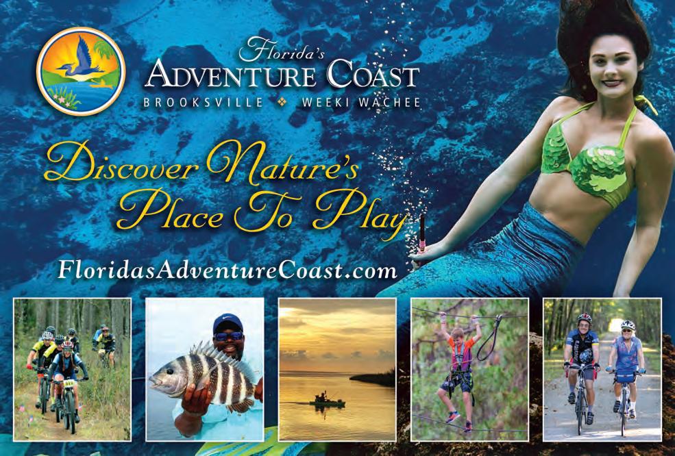 visit florida brochure