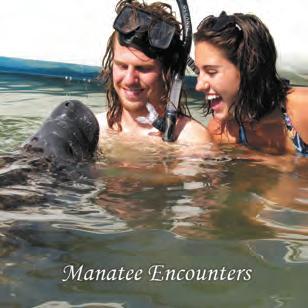 visit florida brochure