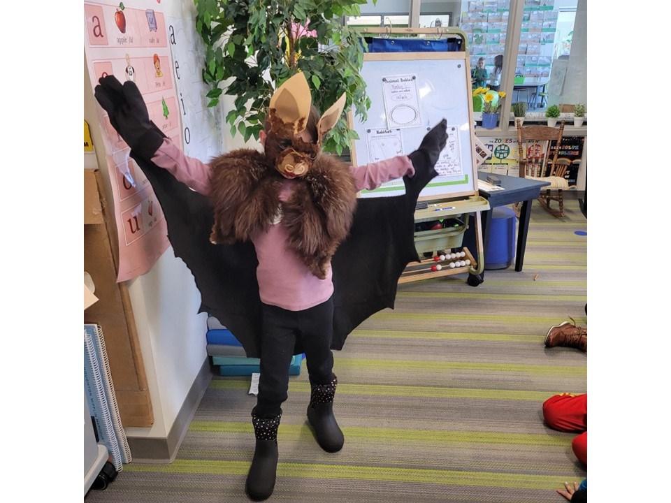 Bats by Ms. Skidmore's 1st Grade Class Emerald Elementary by