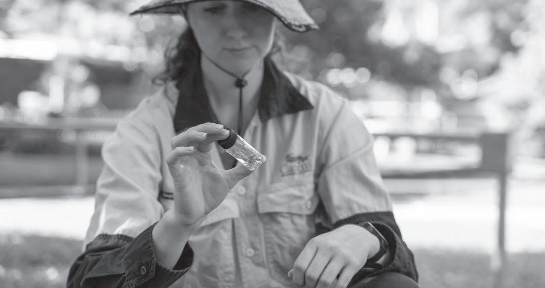 Cairns Regional Council Drinking Water Quality Annual Report 2020