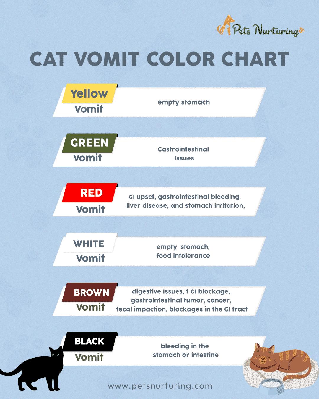 Cat Vomit Color Chart What Does Each Color Mean by Petsnurturing Issuu