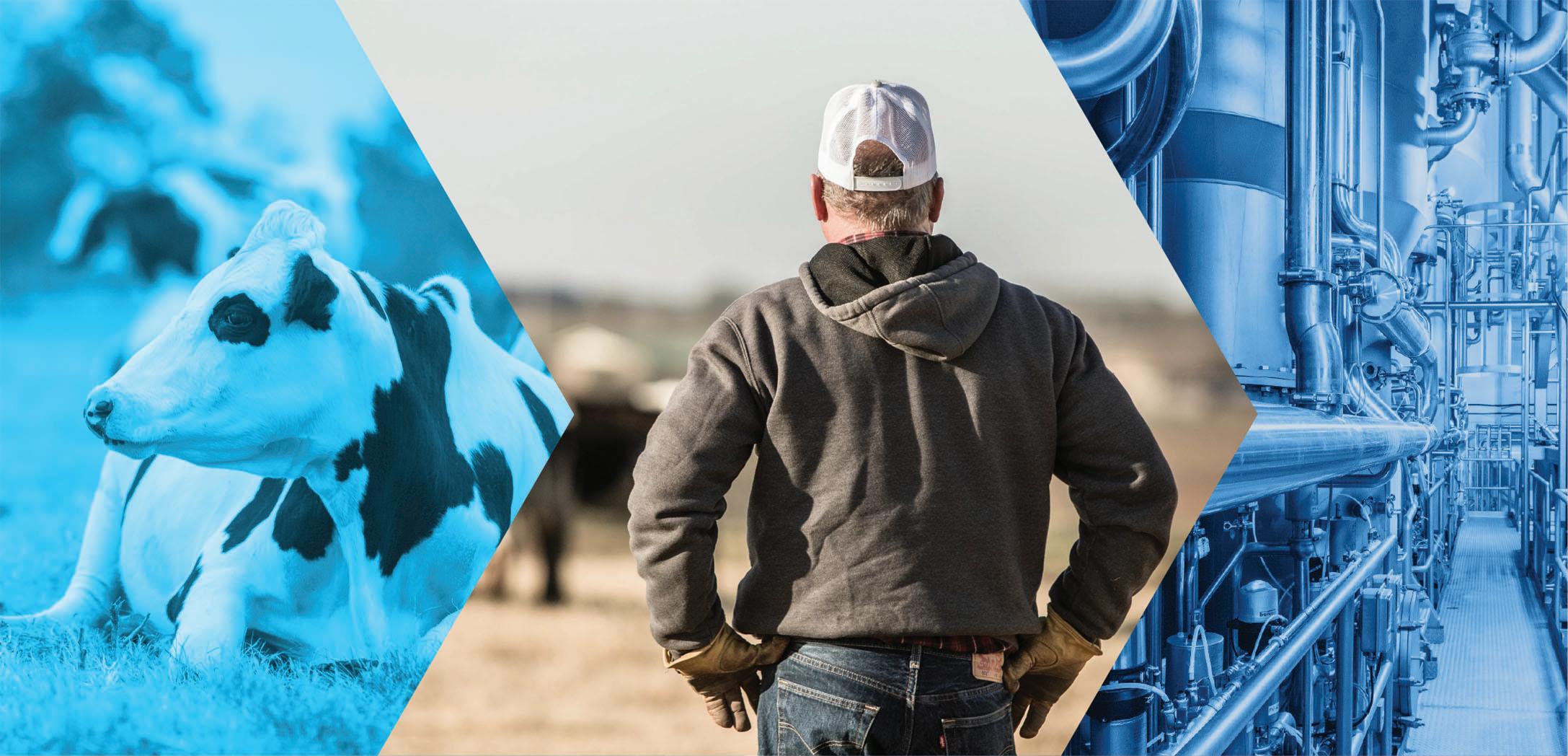 thescoop Winter 2022 by Dairy Farmers of America Issuu