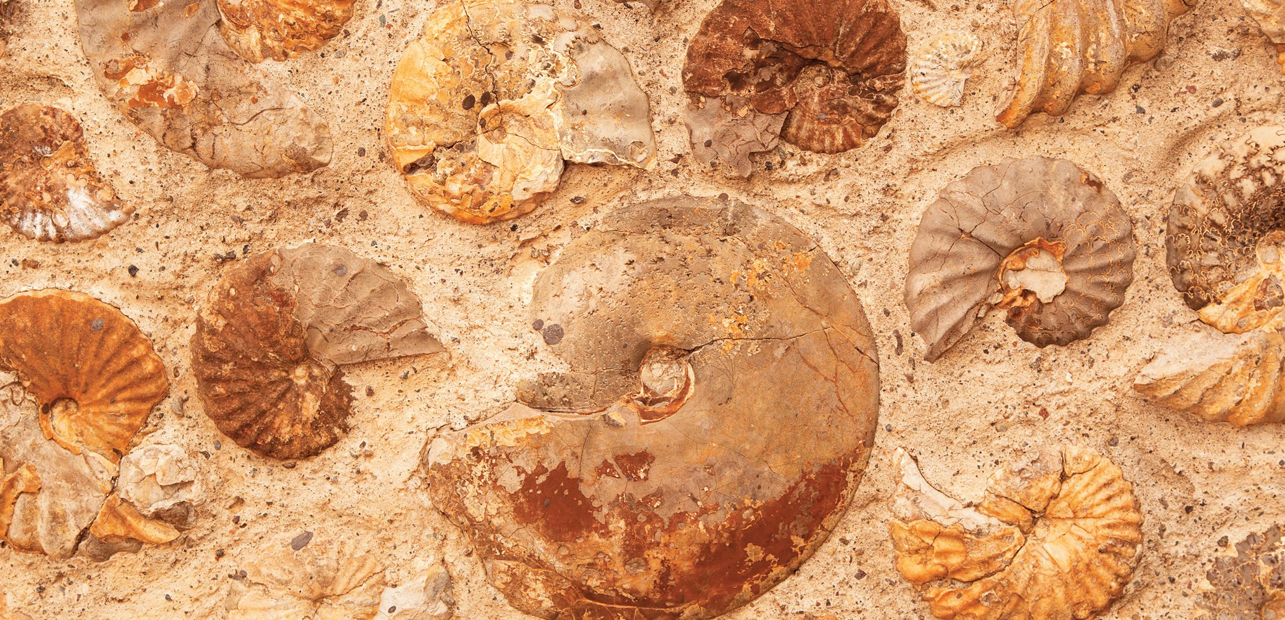 ASE Annual Conference 2023 by The Association for Science Education