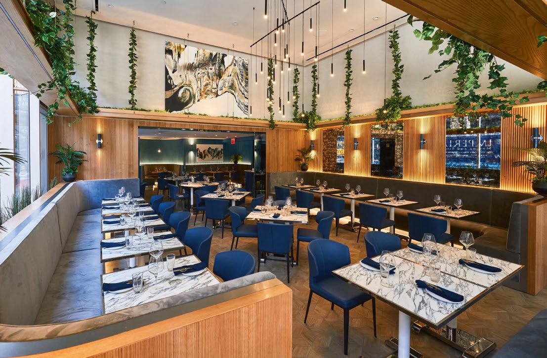 Cover for The Vasper