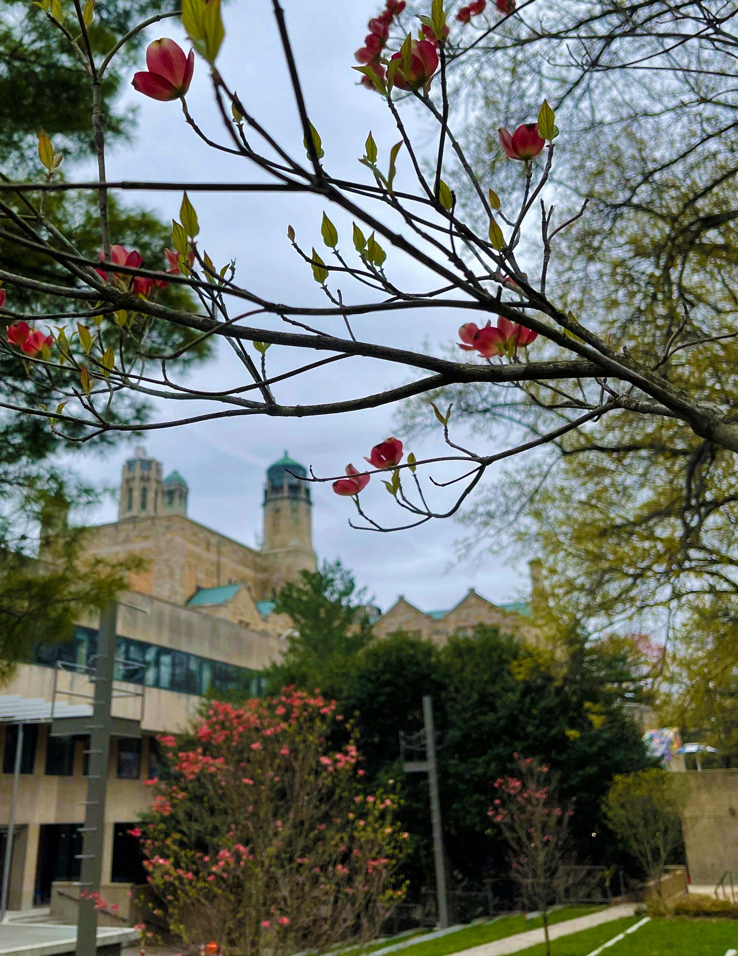 Lehman College Foundation 2022 Annual Report by LehmanCollege Issuu
