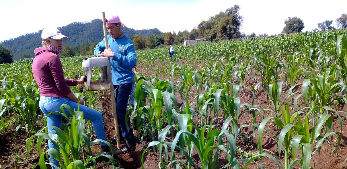 Revista Internacional Universo Agroalimentario. Num. 9 by Universidad De La Salle Bajío - Issuu