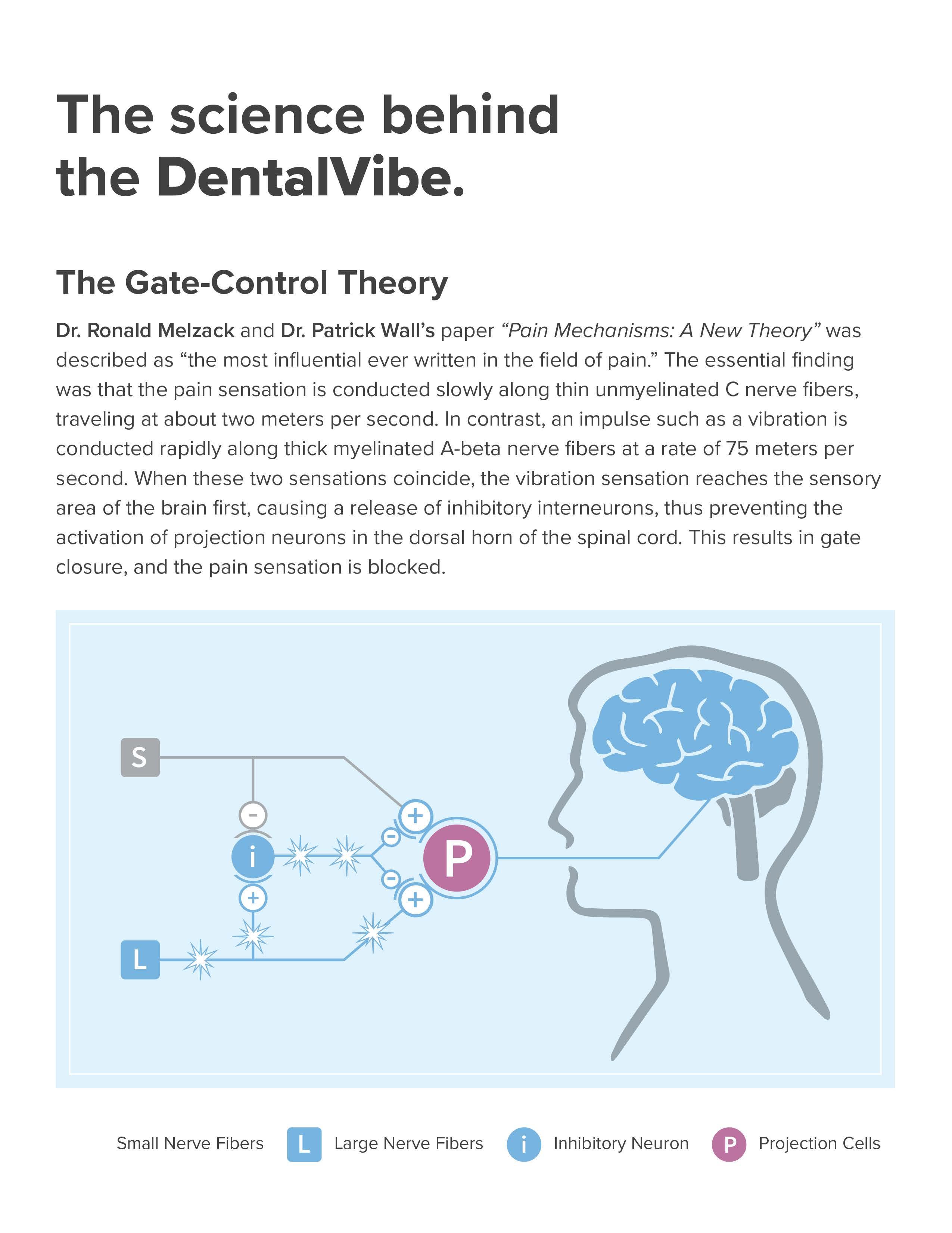 DentalVibe Ultimate Injection Comfort by lindafrostdesign Issuu