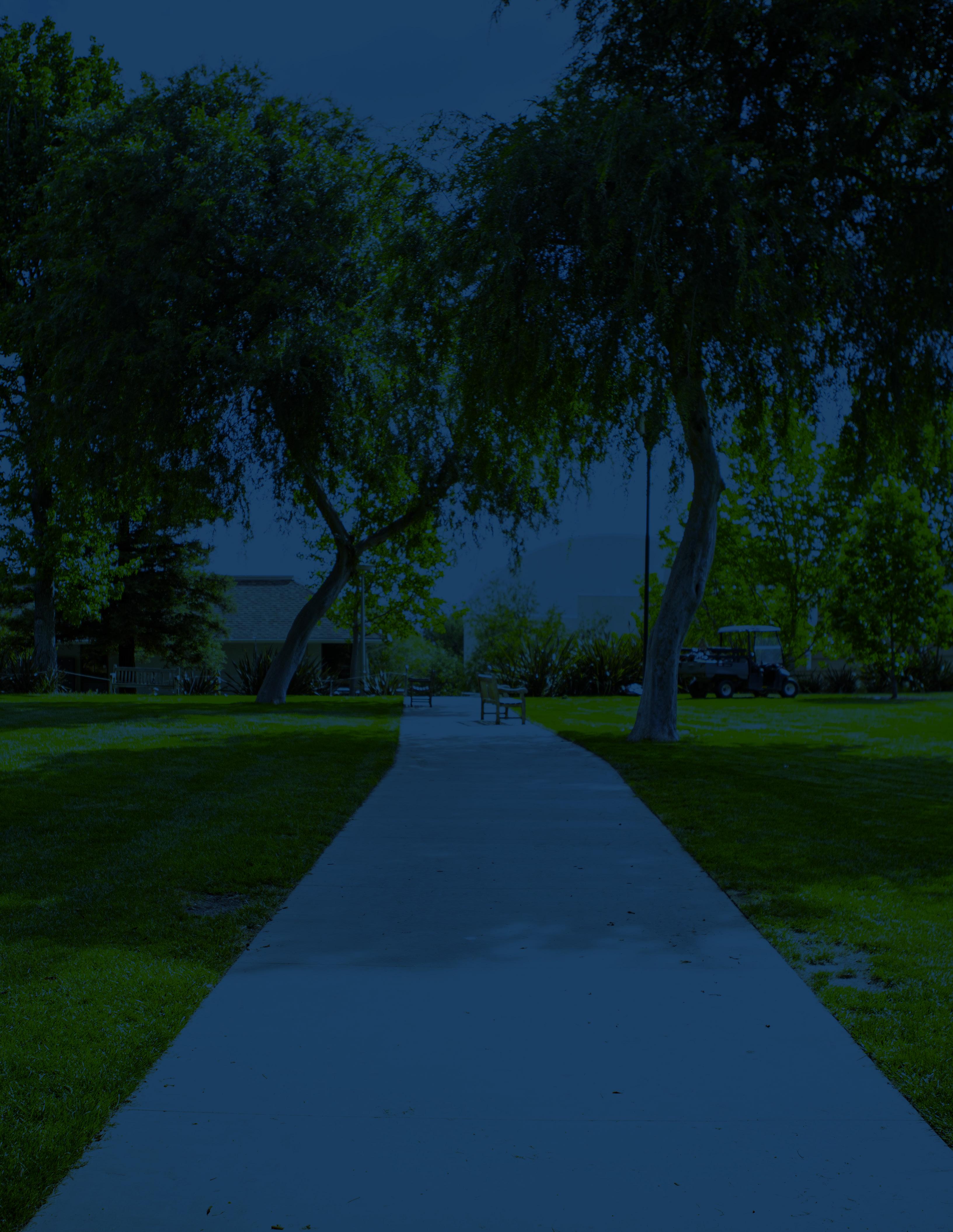 Chadwick School Curriculum Overview Grades 612 by Chadwick School Issuu