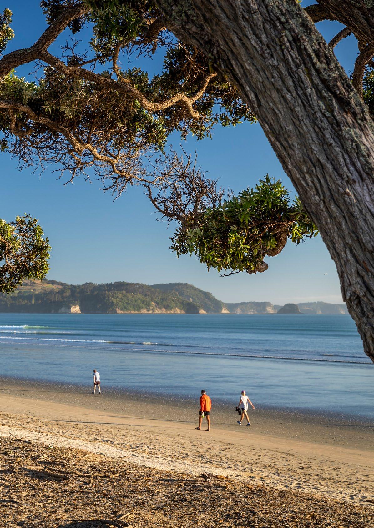 Barfoot & Thompson Orewa by barfootsuburbsales Issuu