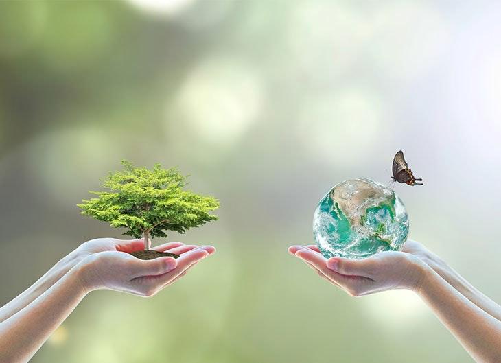 Maestría en Derecho de los Recursos Naturales y Medio Ambiente