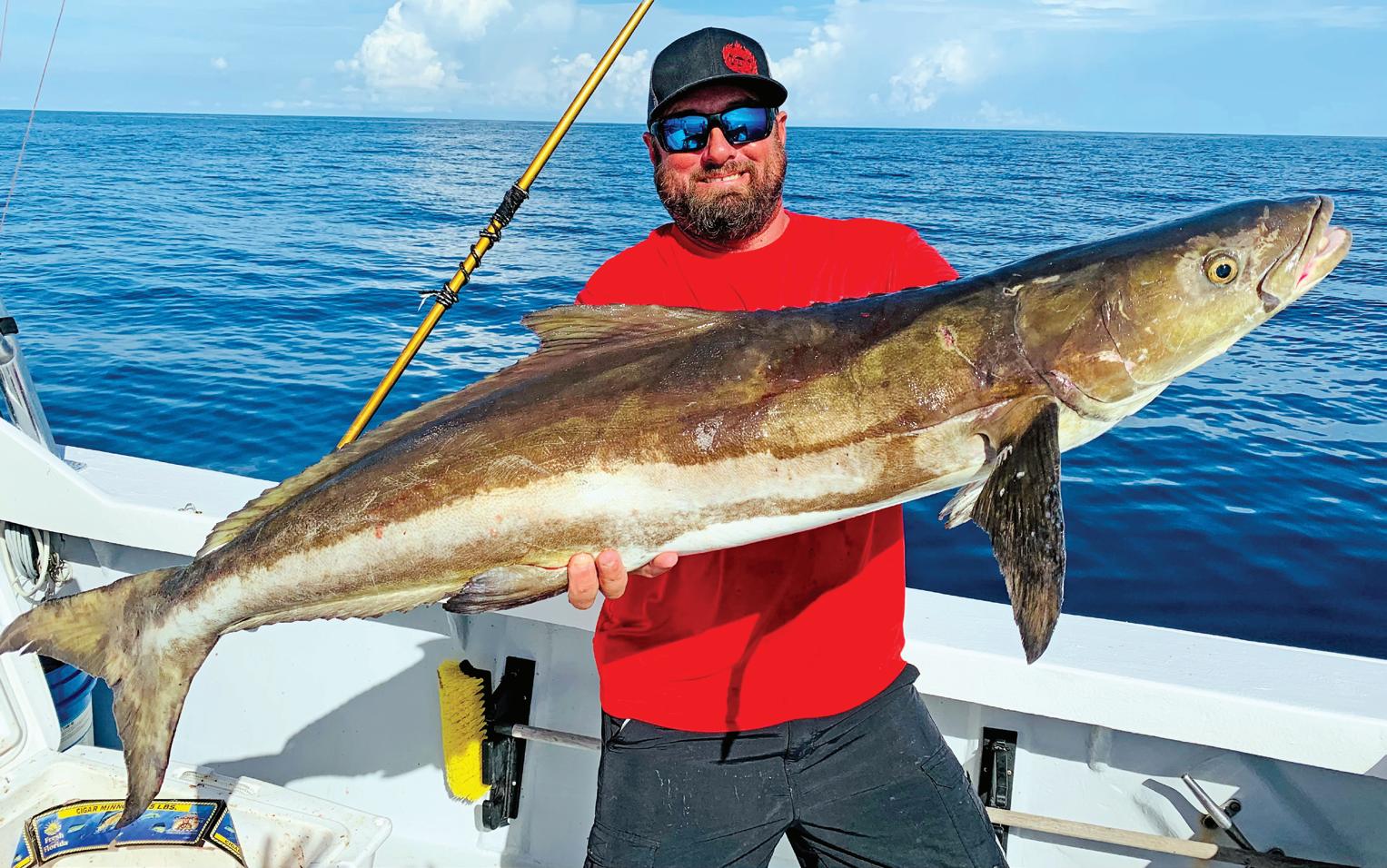 Berkley Trilene Big Game 50# review - Albacore Tuna Fishing with