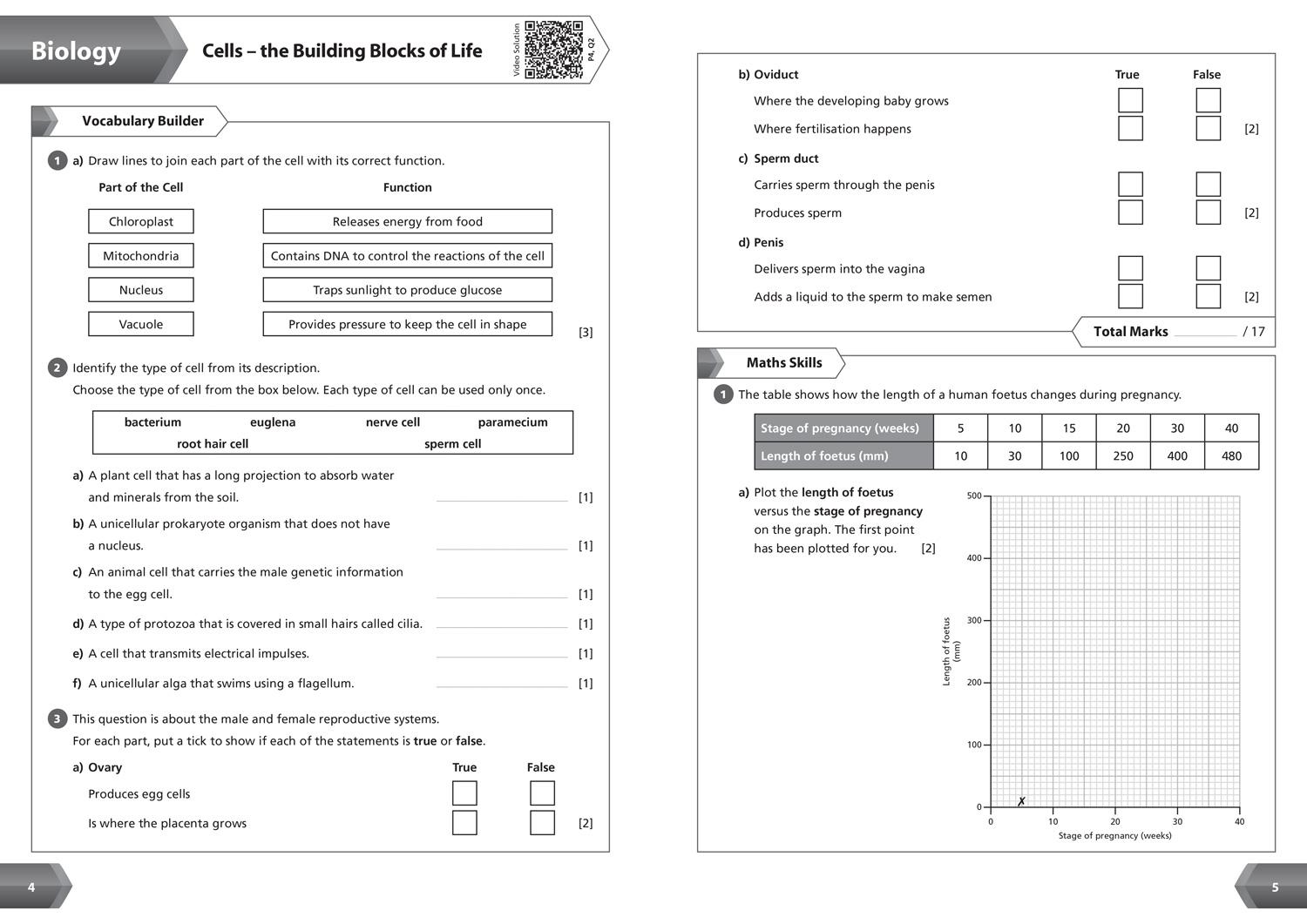KS3 Science Year 7 Workbook – Collins KS3 Revision & Practice (New Curriculum) Very Good