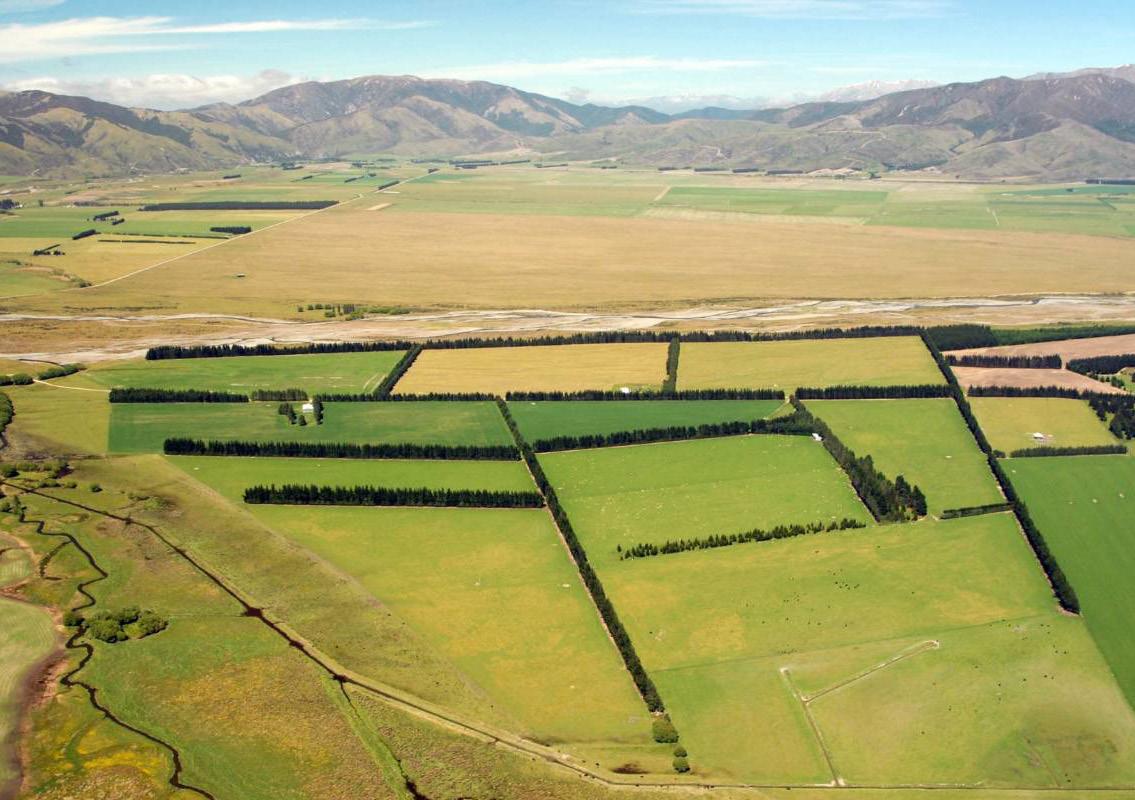 Introduction to New Zealand Rural Land Company by nzrlc Issuu