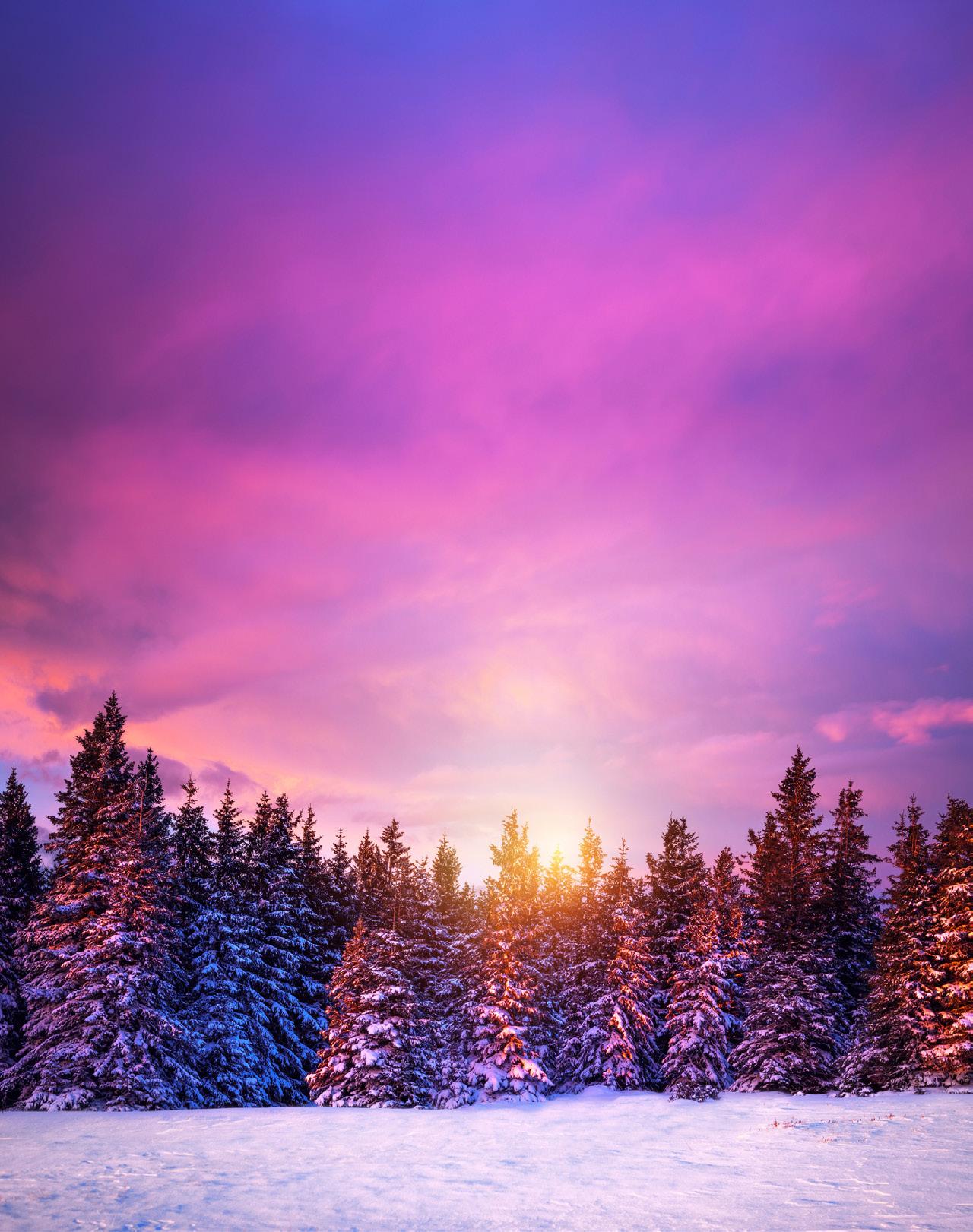 Bean Group Platinum Collection Catalog by Bean Group Issuu