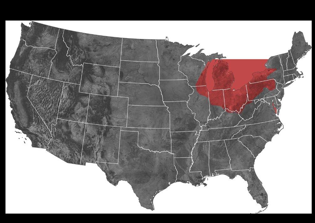 From Motown to Content Marketing: Detroit's Evolution - Future Outlook for Detroit's Content Marketing Scene