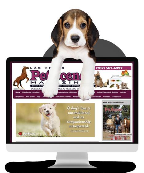 Las Vegas Pet Scene Magazine, January/February 2023 by Homes