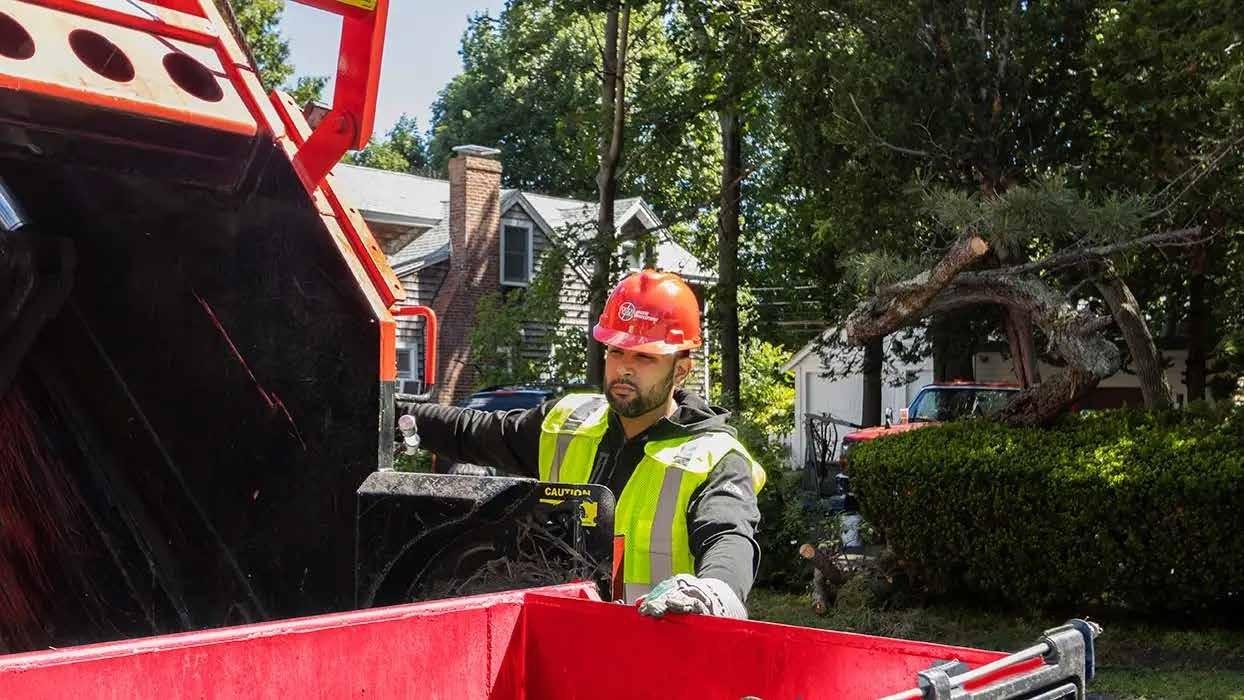 Hire The Best Dumpster Rental In Danbury, Connecticut At WIN Waste