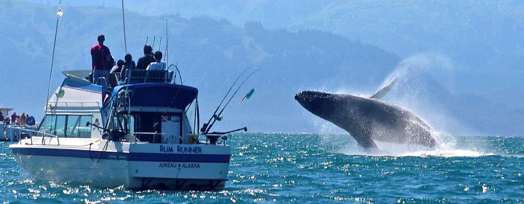 2023 Juneau Alaska Visitors Guide By JuneauAlaska Issuu