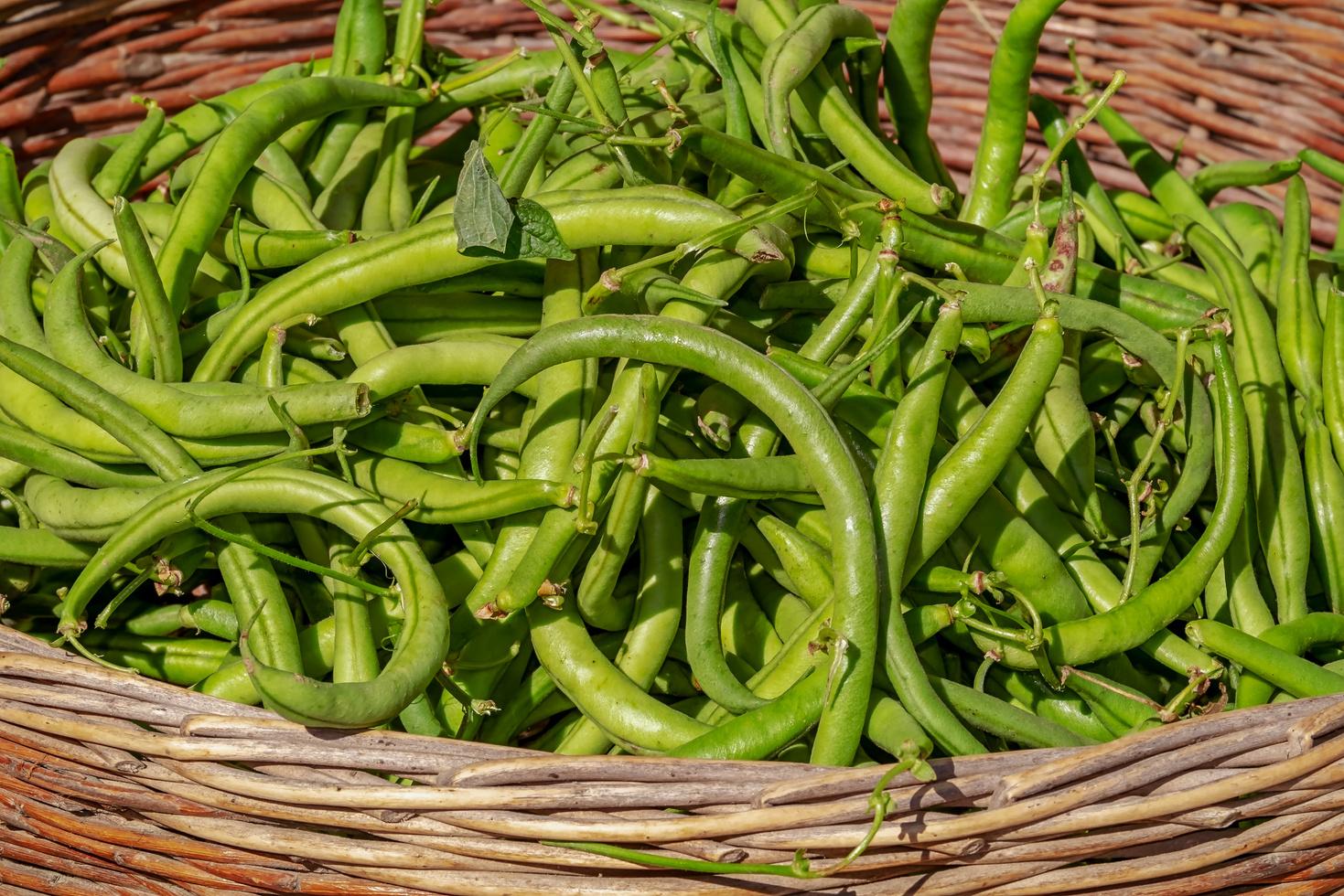 What Spices Go Well with Green Beans? by Seasoning Ideas Issuu